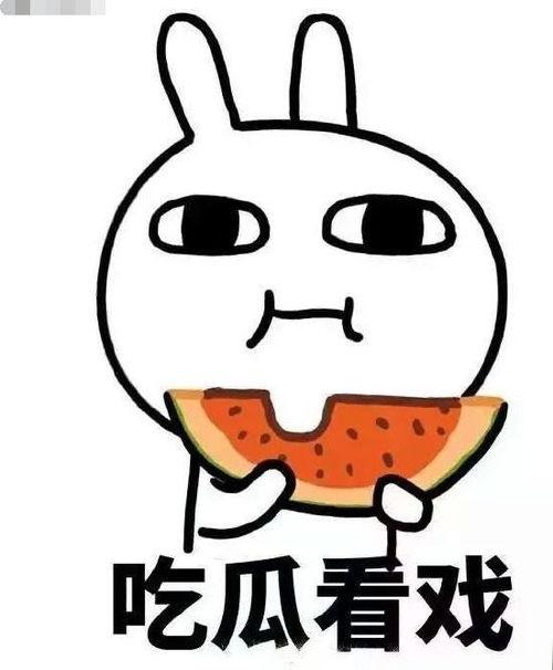 吃瓜的规矩,轻松成为社交达人！