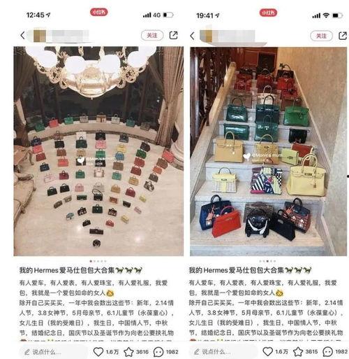 吃一个知乎炫富女神的瓜,知乎炫富女神的真实生活，一场令人咋舌的炫富盛宴